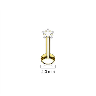 Barbell Set Barbell Labret, 5  pieces