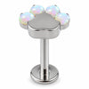 Titanium Labret Animal Paw Print Internally Threaded
