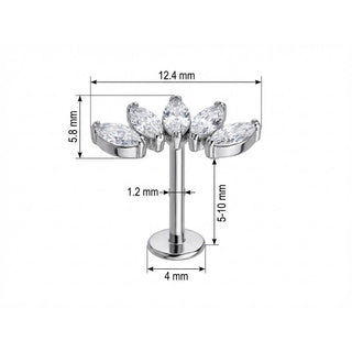 Titane Labret Vigne Courbée Cinq Marquises Filetage Interne