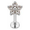 Titanium Labret Clear Crystal Flower Blossom Internally Threaded