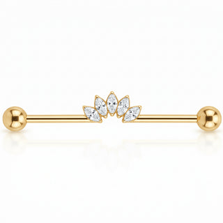 Titanium Industrial Barbell Marquise Crystal Fan