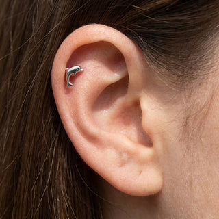 Titanium Labret Dolphin Internally Threaded