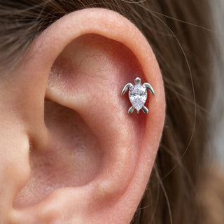Titanium Labret Turtle Zirconia Internally Threaded