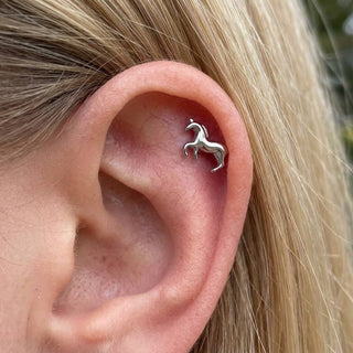 Titanium Labret Horse Internally Threaded