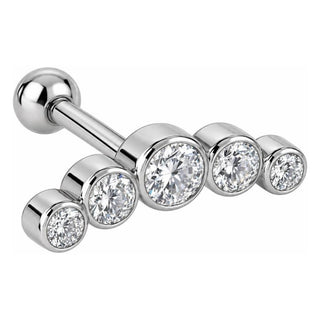 Titanium Barbell Five Stone Curved Arc