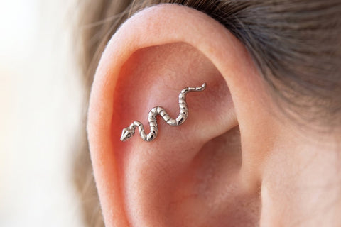 Piercing Serpent